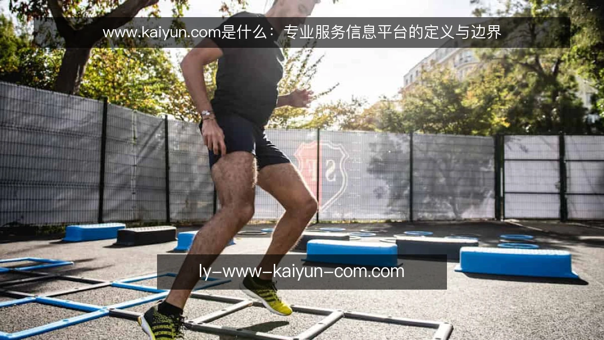www.kaiyun.com是什么:专业服务信息平台的定义与边界