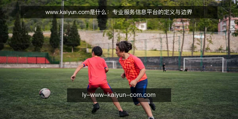 www.kaiyun.com是什么:专业服务信息平台的定义与边界 — 定义:www.kaiyun.com作为专业服务信息平台 配图