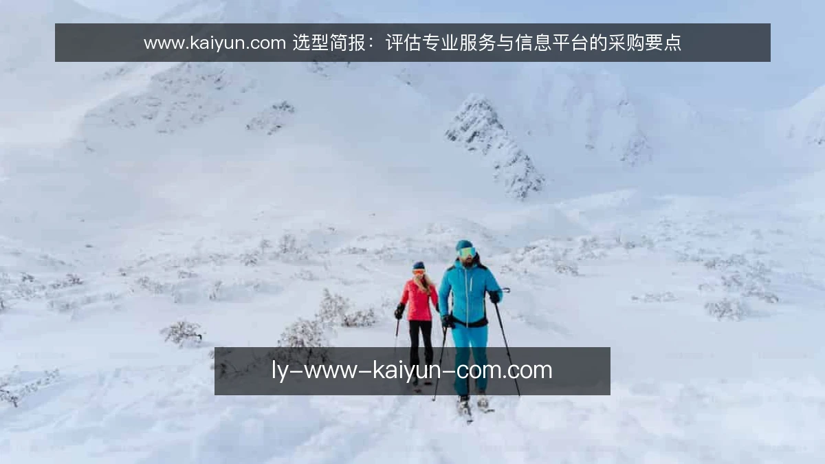 www.kaiyun.com 选型简报：评估专业服务与信息平台的采购要点