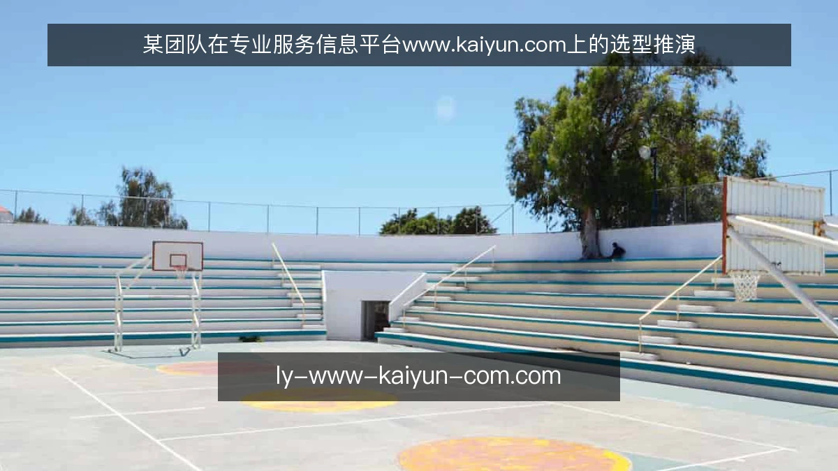 某团队在专业服务信息平台www.kaiyun.com上的选型推演