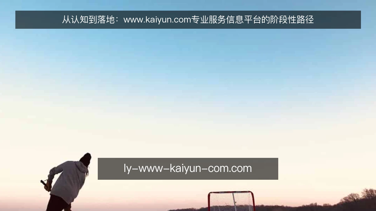 从认知到落地:www.kaiyun.com专业服务信息平台的阶段性路径