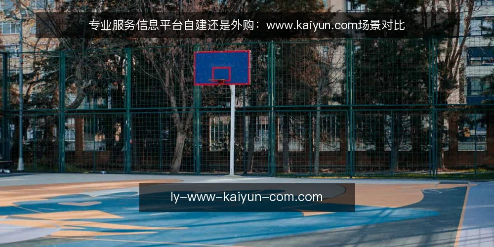 专业服务信息平台自建还是外购：www.kaiyun.com场景对比 — 明确业务边界与预算 配图