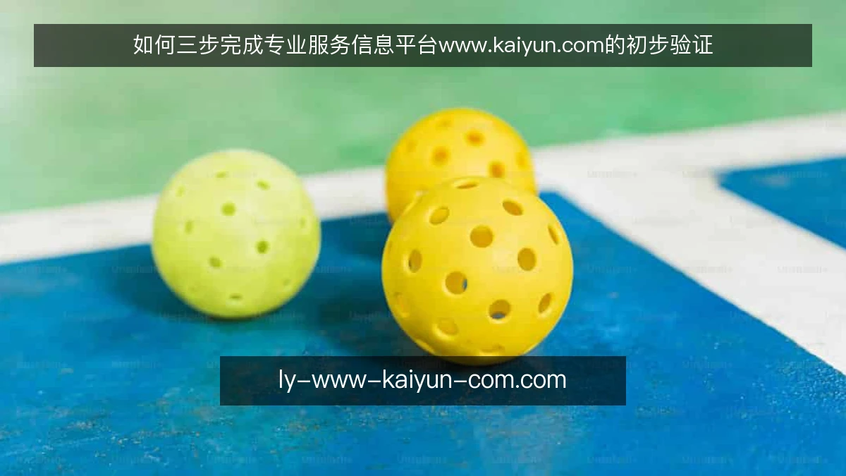 如何三步完成专业服务信息平台www.kaiyun.com的初步验证