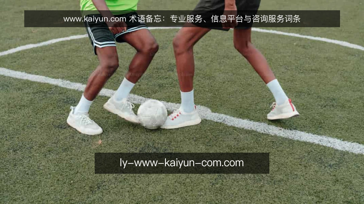 www.kaiyun.com 术语备忘：专业服务、信息平台与咨询服务词条