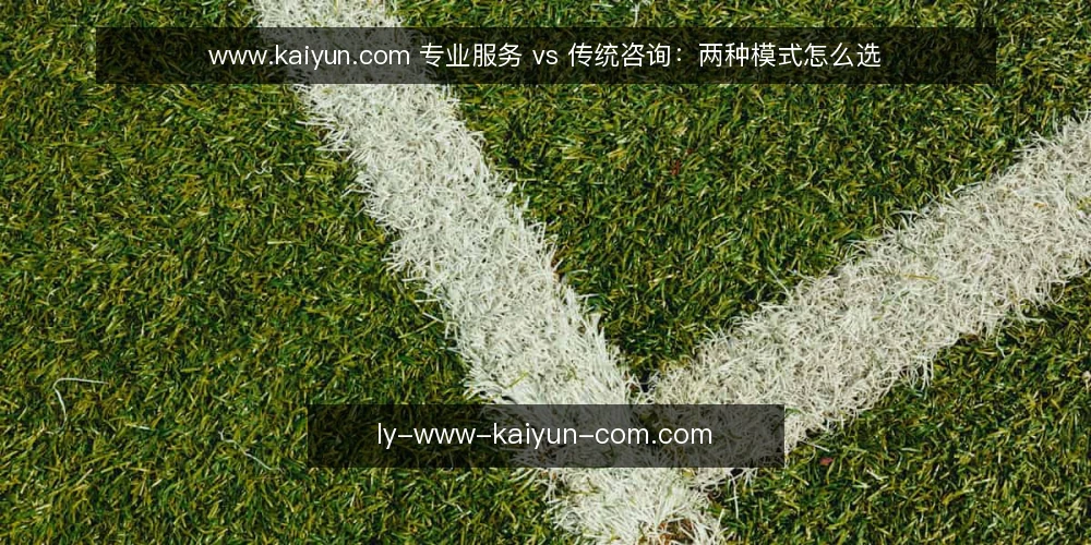 www.kaiyun.com 专业服务 vs 传统咨询:两种模式怎么选 — 先定评估标准:选型前要问清楚的几件事 配图