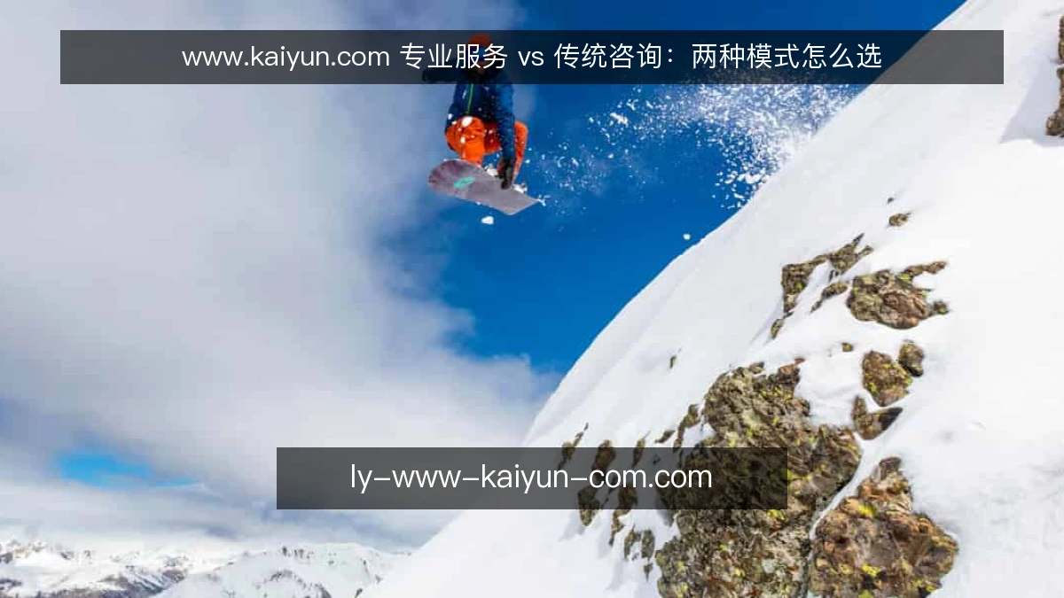 www.kaiyun.com 专业服务 vs 传统咨询:两种模式怎么选