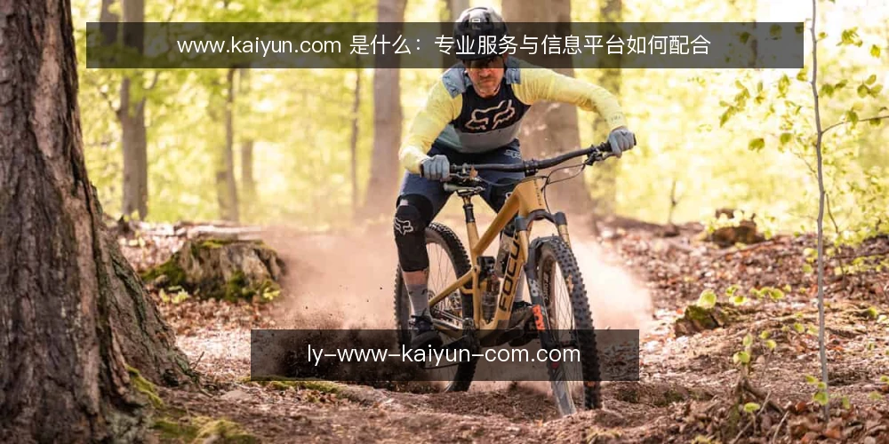 www.kaiyun.com 是什么:专业服务与信息平台如何配合 — 先看一个常见卡点:信息很多却推不动决策 配图