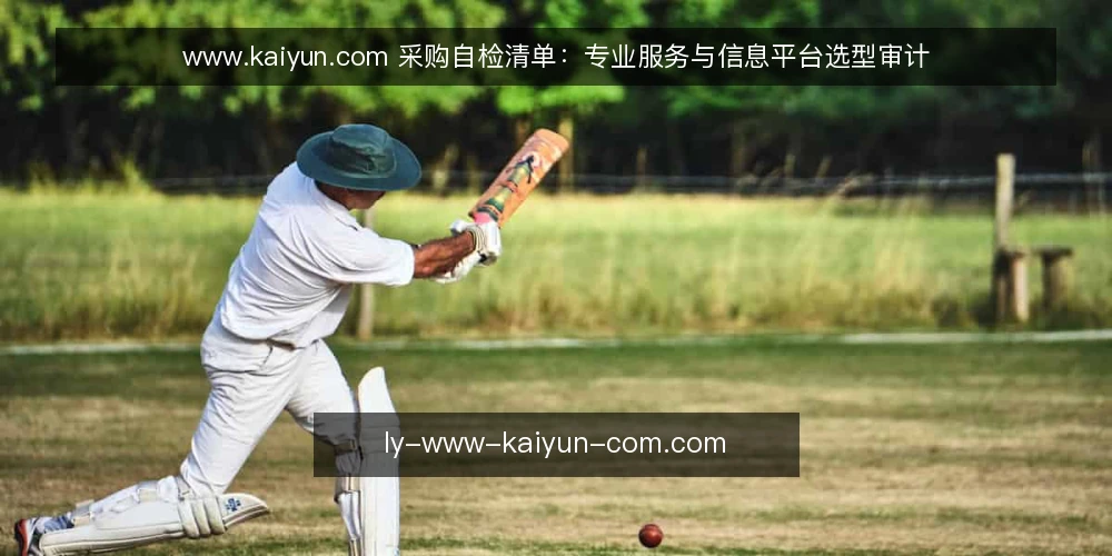 www.kaiyun.com 采购自检清单:专业服务与信息平台选型审计 — 为什么现在要做一次选型审计 配图