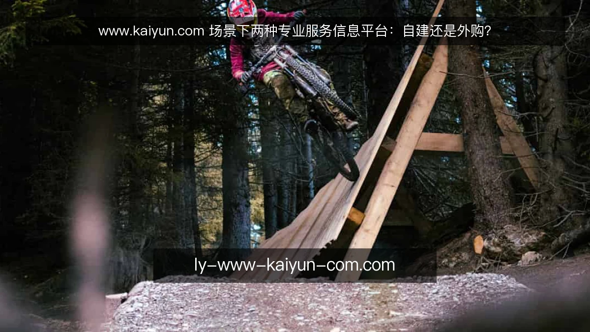 www.kaiyun.com 场景下两种专业服务信息平台:自建还是外购?