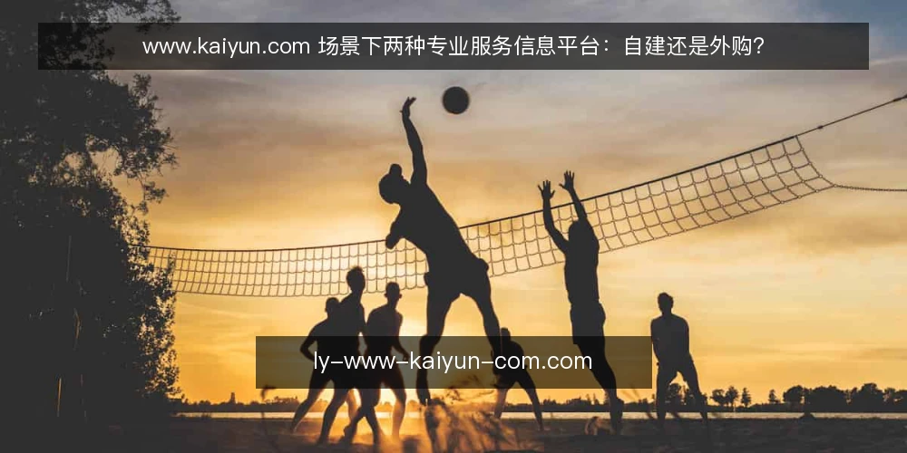 www.kaiyun.com 场景下两种专业服务信息平台:自建还是外购? — 先定评估维度:对比的共同标尺 配图