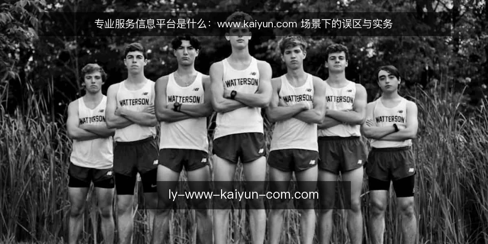 专业服务信息平台是什么：www.kaiyun.com 场景下的误区与实务 — 专业服务信息平台是什么：先厘清定义与原理 配图
